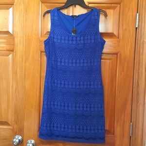 *🆕 Tiana B. Soft Lace Royal Blue Sleeveless Summer Evening Medium Dress, NEW